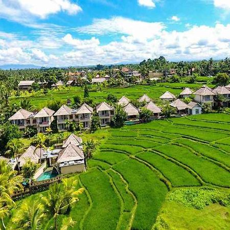 Mesari Hotel Ubud מראה חיצוני תמונה