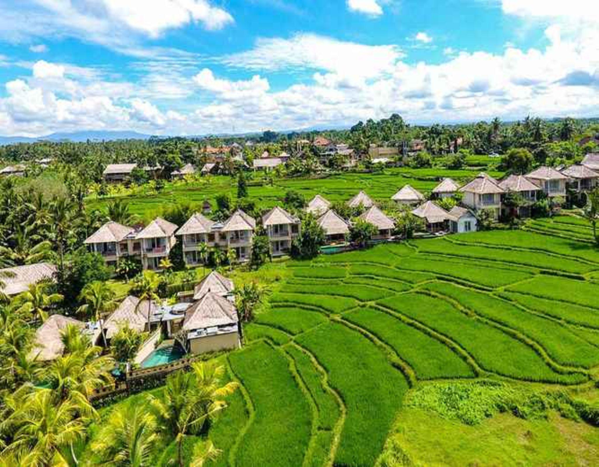Mesari Hotel Ubud מראה חיצוני תמונה