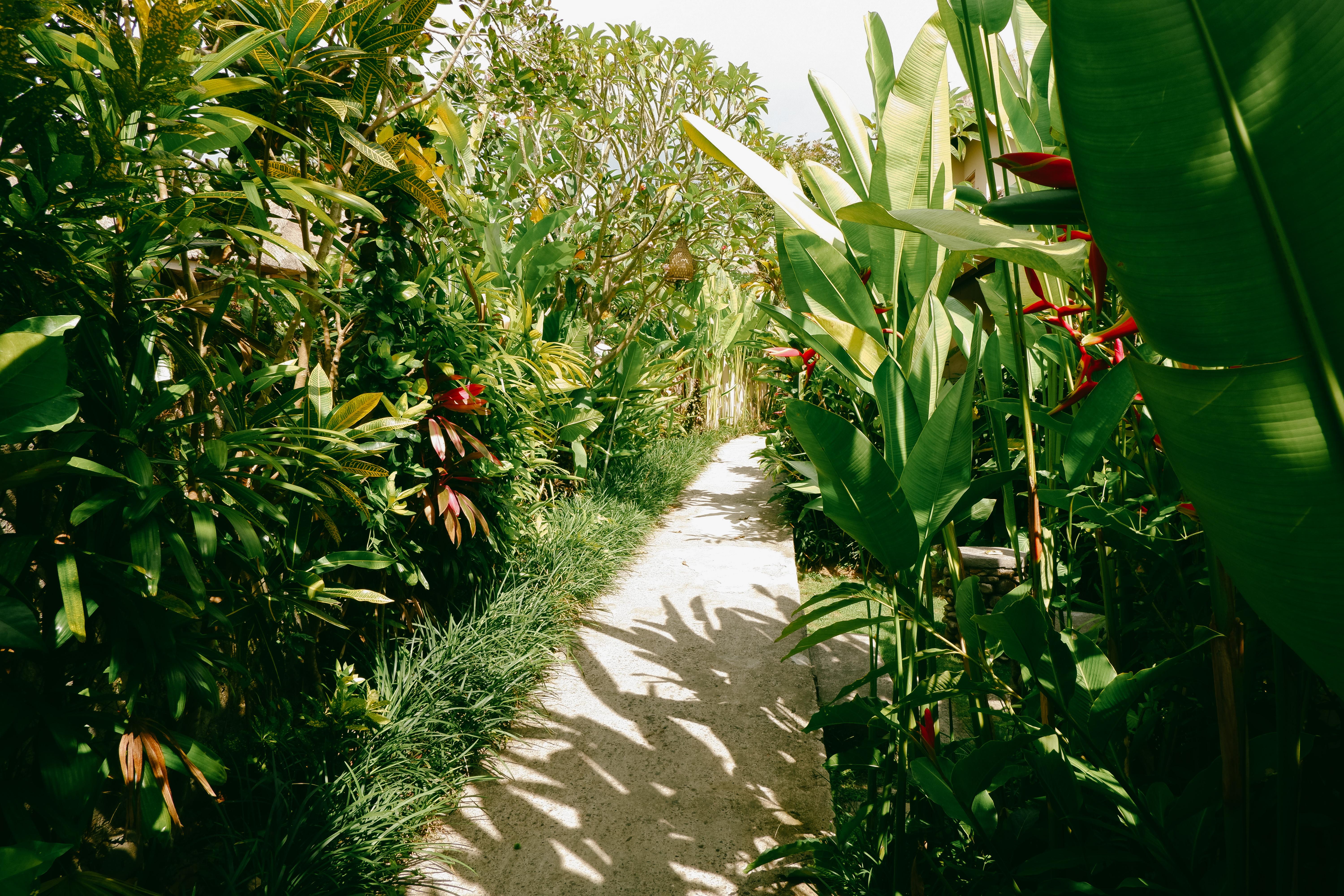 Mesari Hotel Ubud מראה חיצוני תמונה