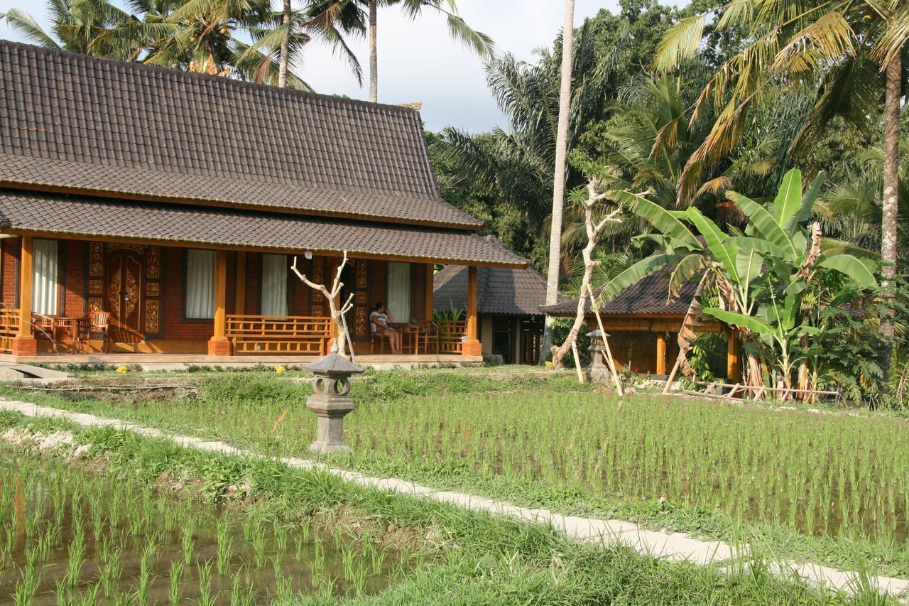 Mesari Hotel Ubud מראה חיצוני תמונה