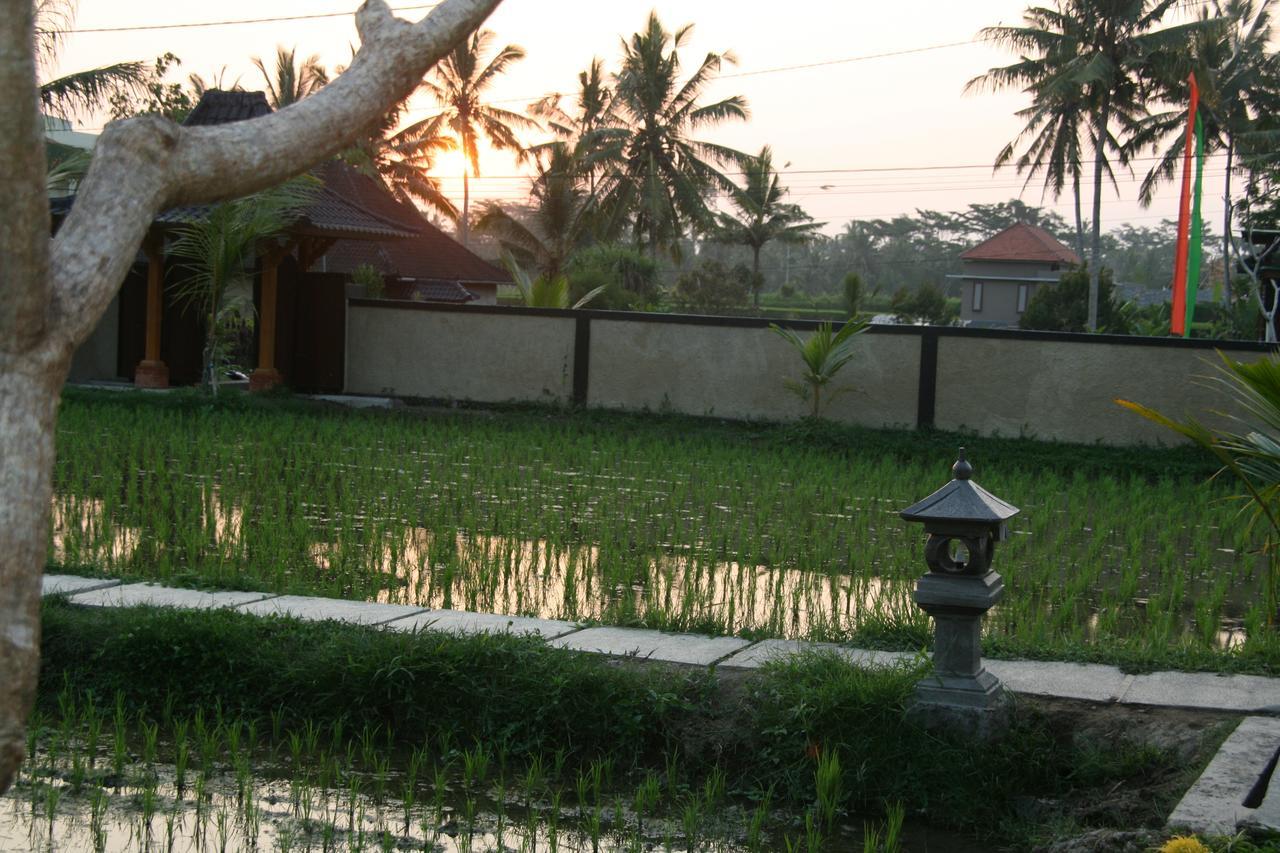 Mesari Hotel Ubud מראה חיצוני תמונה
