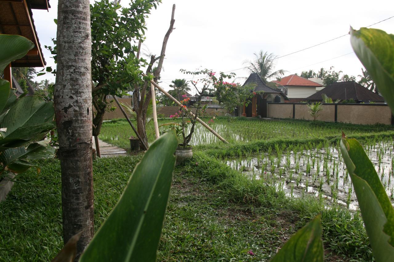 Mesari Hotel Ubud מראה חיצוני תמונה